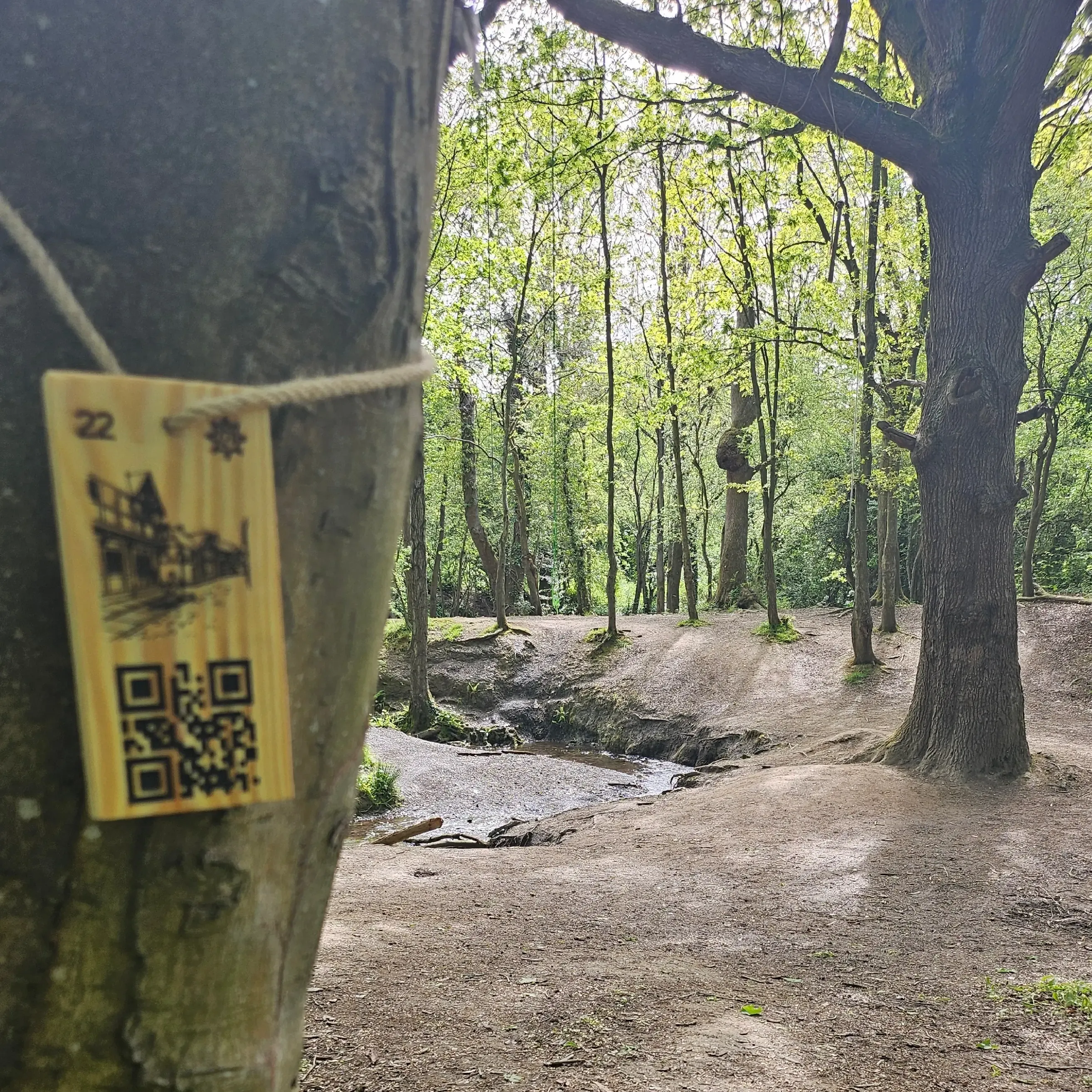 A low-profile wooden QRidian waypoint marker tied to a tree, featuring a custom illustration and a QR code. In the background, a natural woodland trail leads down toward a small stream, demonstrating how the technology integrates into green spaces.
